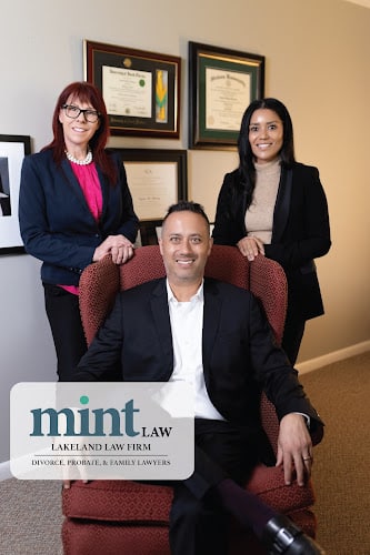 322602 mint law firm 8211 lakeland divorce probate family lawyers