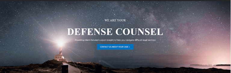 322645 mintzer sarowitz zeris willis llc 768x242