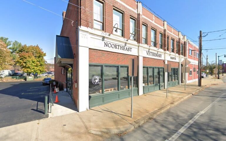 323183 mitchell j wallman 768x480