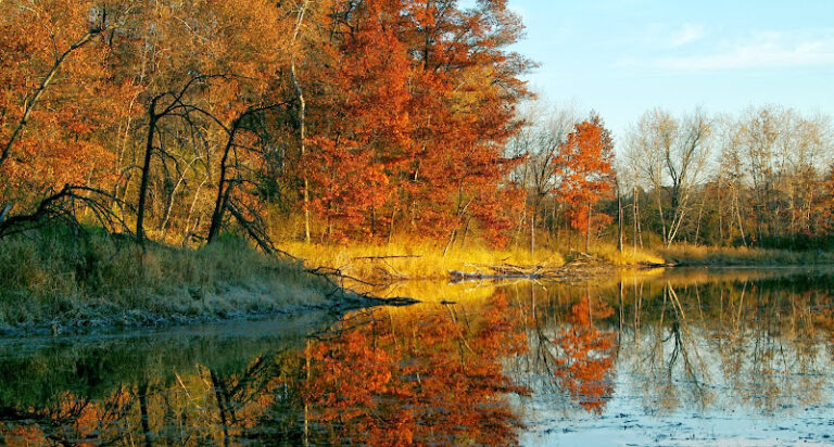 324060 molinaro davis law pllc 768x412