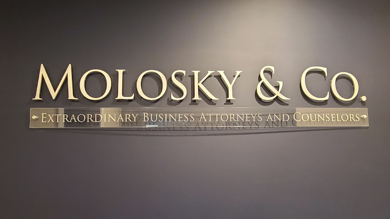 324161 molosky co