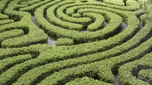 324628 mont l. martin attorney at law