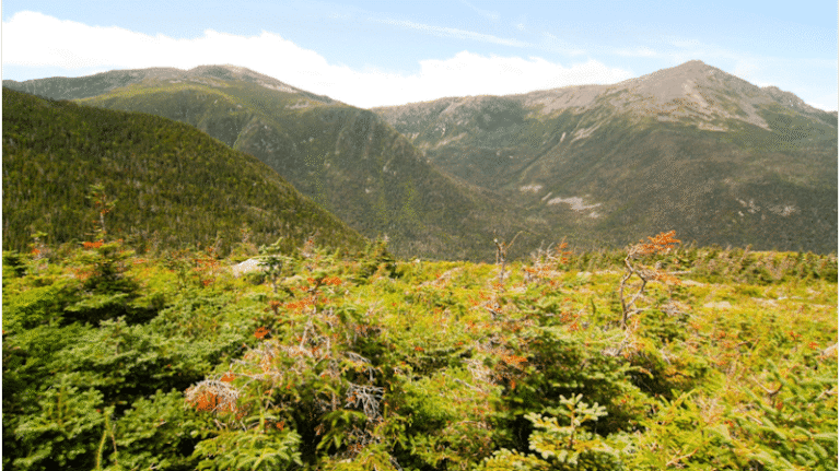 328175 mulcrone law pllc 768x431