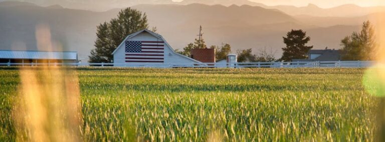 328609 murad immigration law 768x284