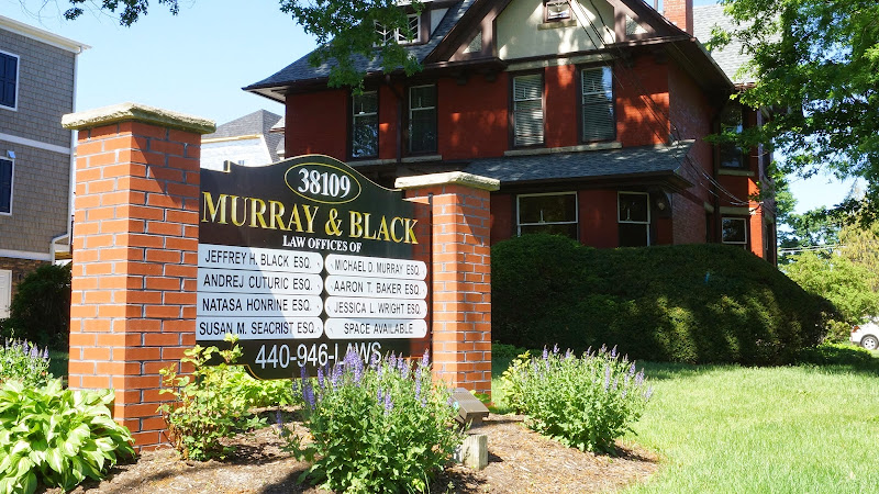 329119 murray black