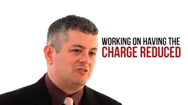 329363 musca law 768x432