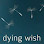 329653 my dying wishes