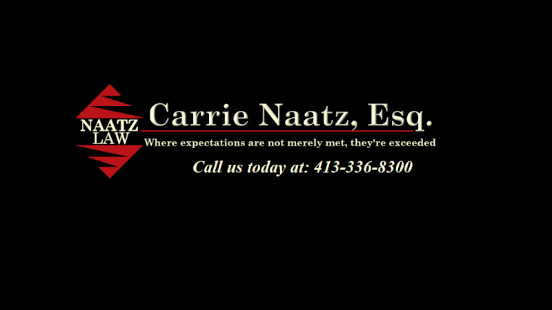 330089 naatz law office attorney carrie a. naatz