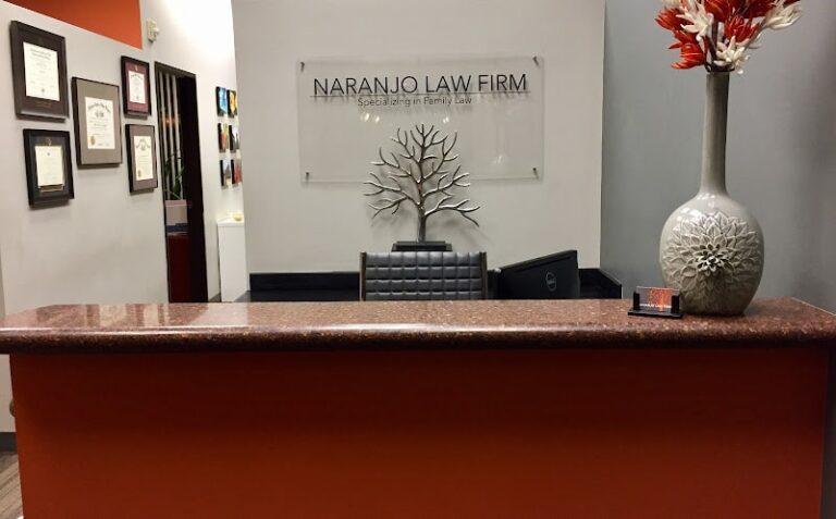 330827 naranjo law firm llc 768x477