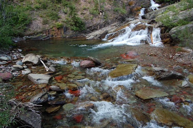 Feature image