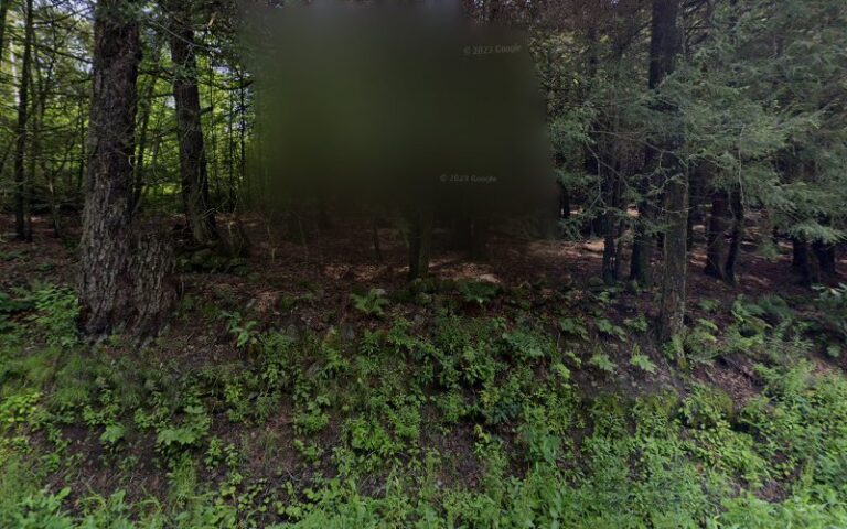 331201 nathan r lynch pllc lynch nathan r 768x480