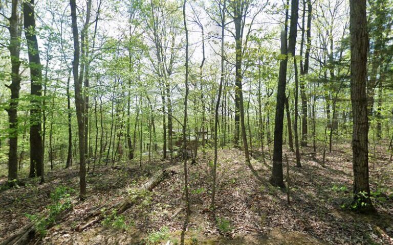 331441 natty bumppo professional services 768x480