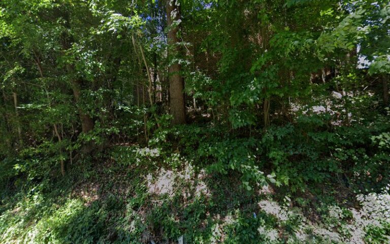 331948 neely lanier pllc 768x480