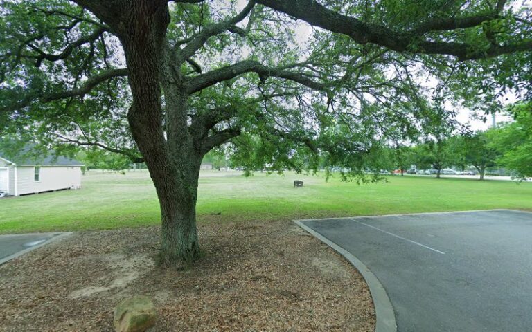 332470 nelson narissa 768x480