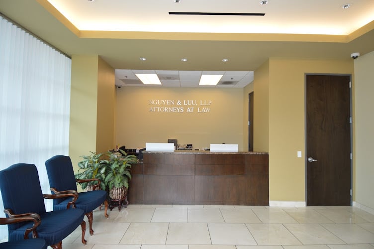 333642 nguyen luu llp