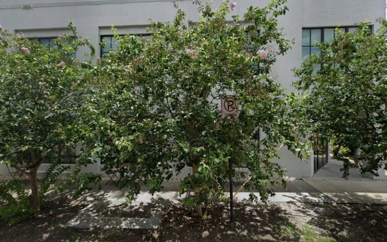 334881 no cuffs tampa 768x480