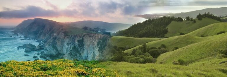 335589 north bay law group 768x263