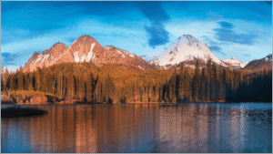 Feature image