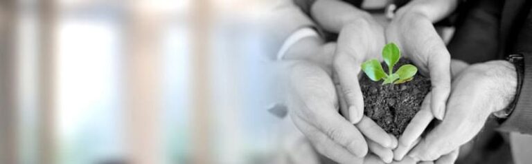 336482 nutile law maria nutile 768x238