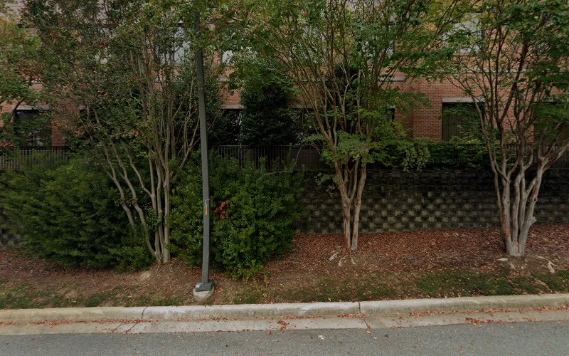 338694 olive law group pllc