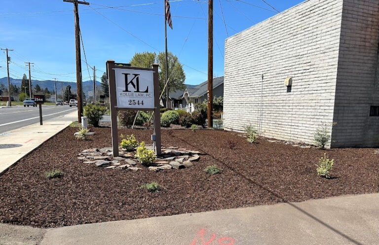 339852 oregon gun law 768x497