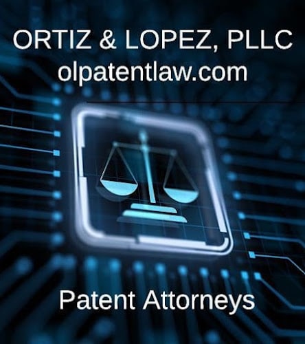 340253 ortiz lopez pllc