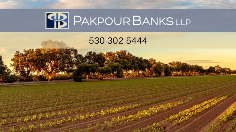 342046 pakpour banks llp 8211 davis divorce lawyer