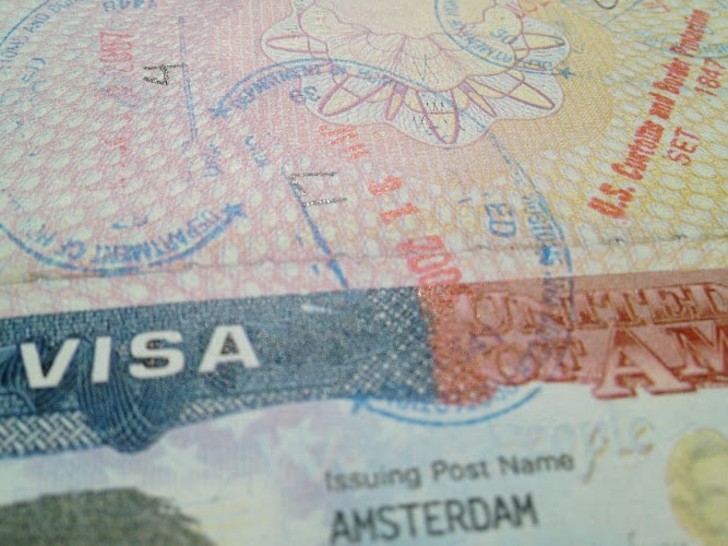 343615 parrilli renison llc