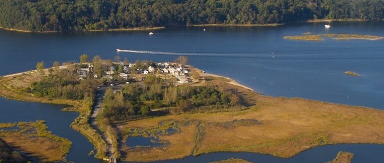 343726 parsons nardelli 768x327