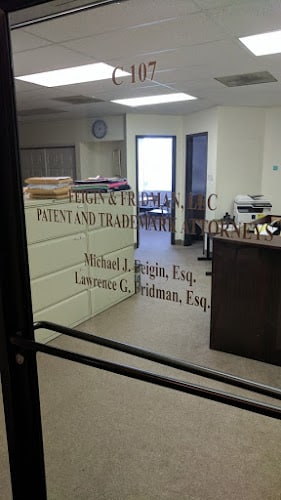 344506 patent law firm of michael feigin