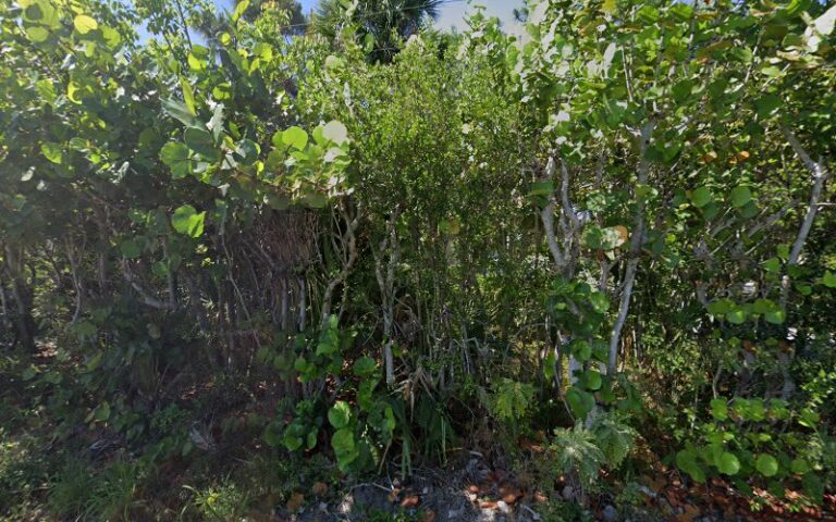 344887 patricia sciarrino p.a 768x480