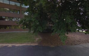 Feature image