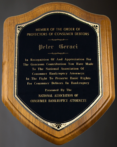 349176 peter francis geraci law l.l.c