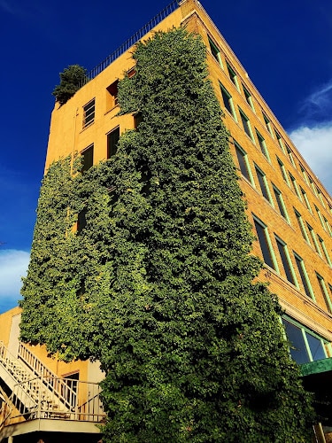 349851 petersen rothermel law firm