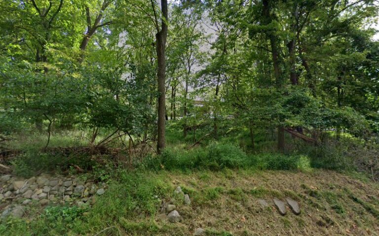 350276 petty lewis f 768x480