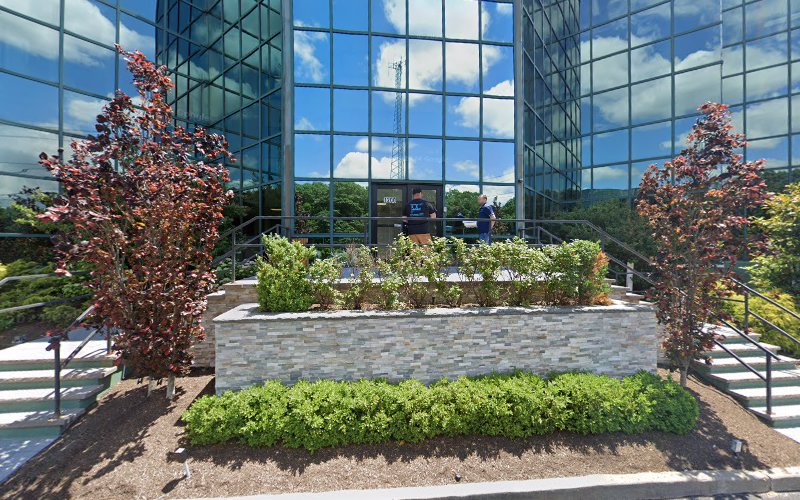 351390 piana gioe llc