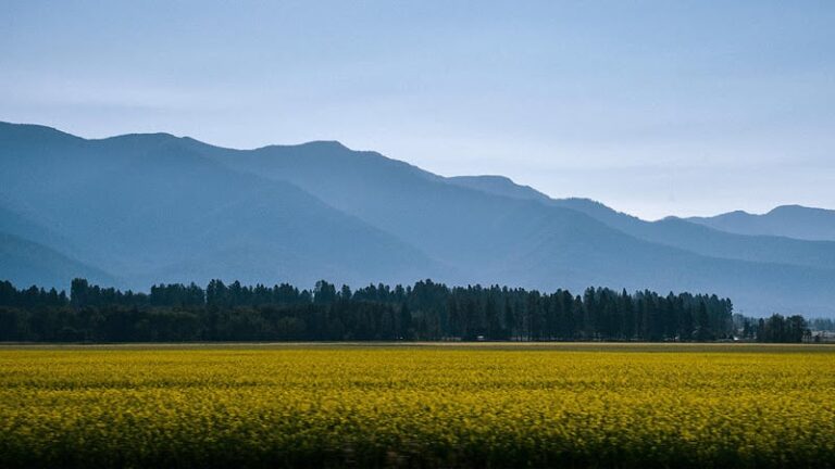 351633 pierce law firm 768x432