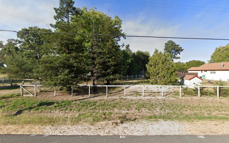 352070 pinkus william 768x480