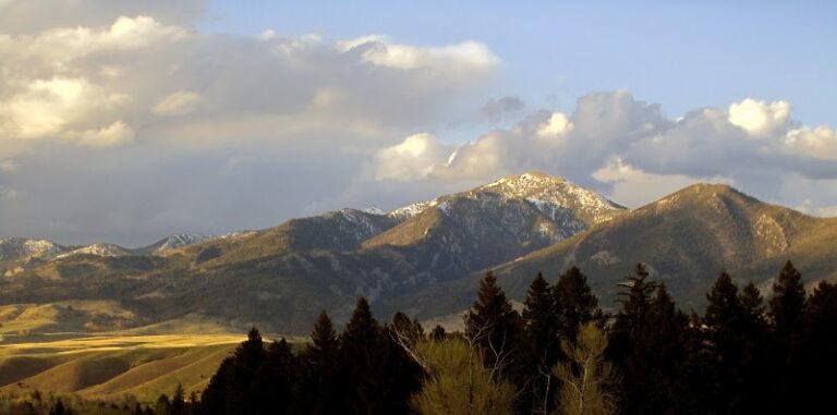 352197 pipitone law 768x381