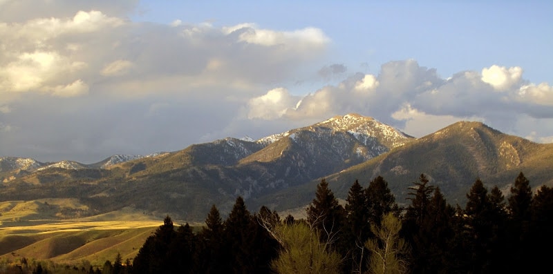 Featured image
