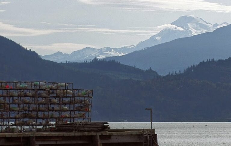 352691 plauche carr llp 768x487