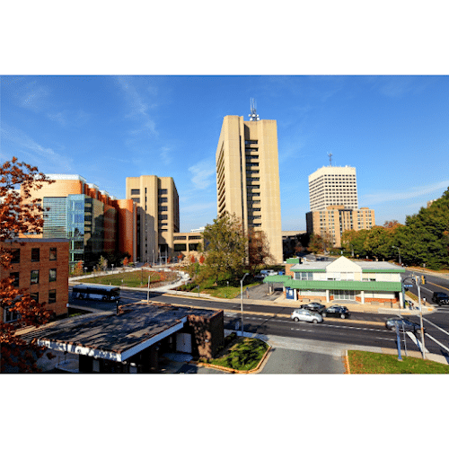 353186 policastri law firm llc