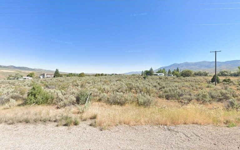 354091 postal employee advocates 768x480