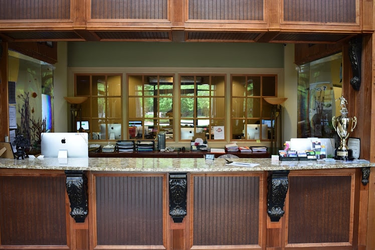 354151 potra law firm