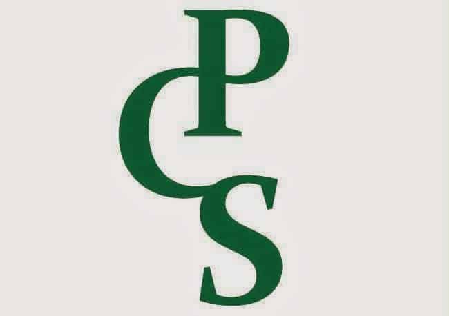 354847 premier capital solutions