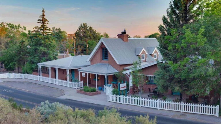 355507 prince schmidt 768x432