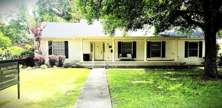355629 priscilla copelin neeley attorney counselor at law plc 768x376