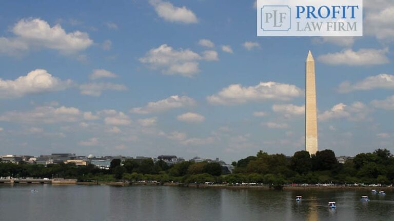 355907 profit law firm 768x432