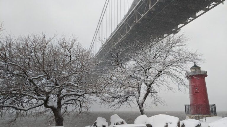 358330 radjabov law firm pllc 768x432