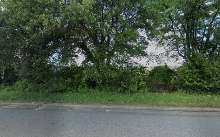 358517 ragaller matthew j 768x480